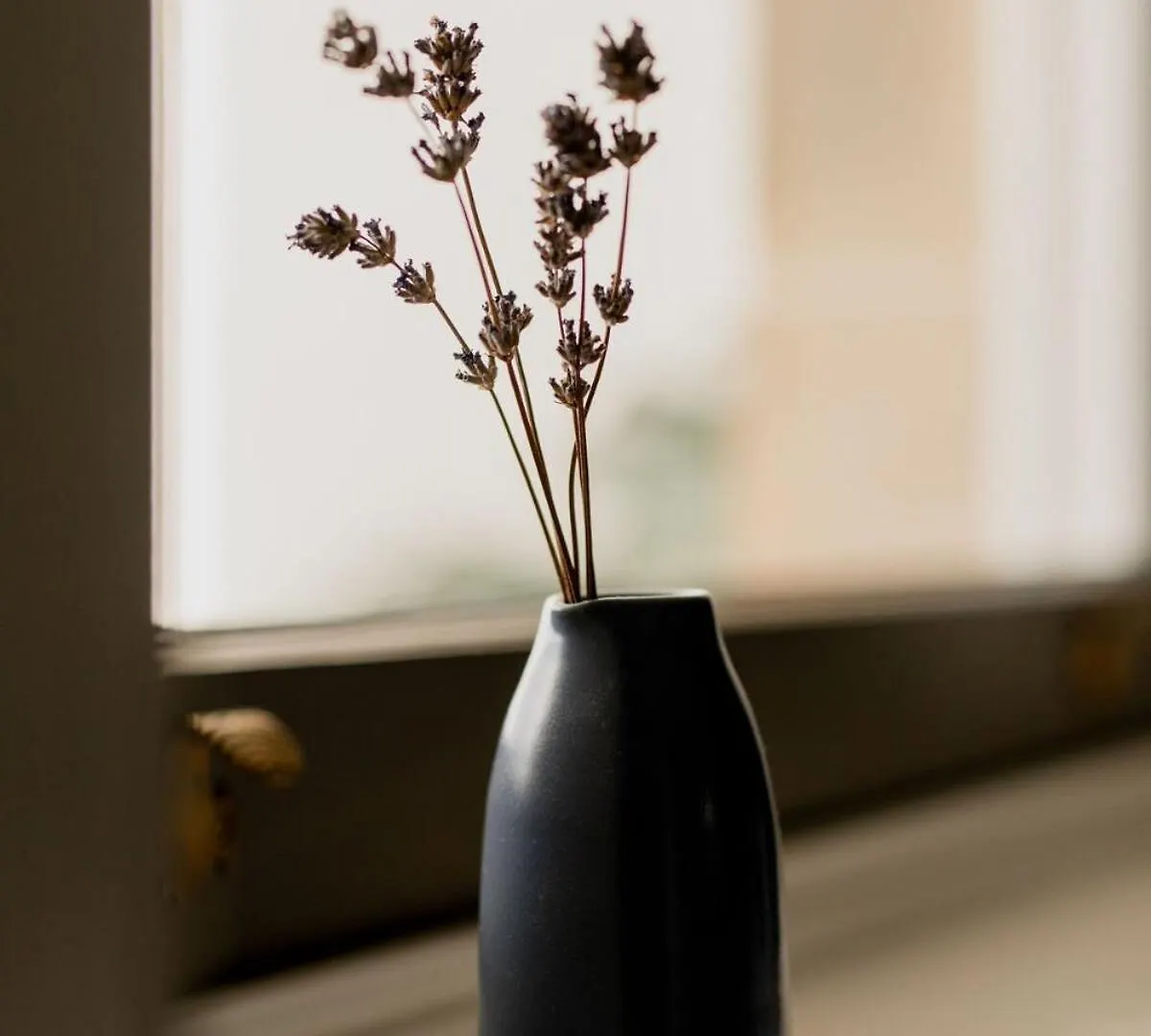 Holiday home 'Wietenah' - Perfectly Renovated Historic Cottage Hobart Australia