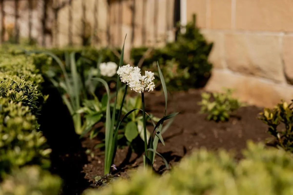 'Wietenah' - Perfectly Renovated Historic Cottage Hobart Holiday home